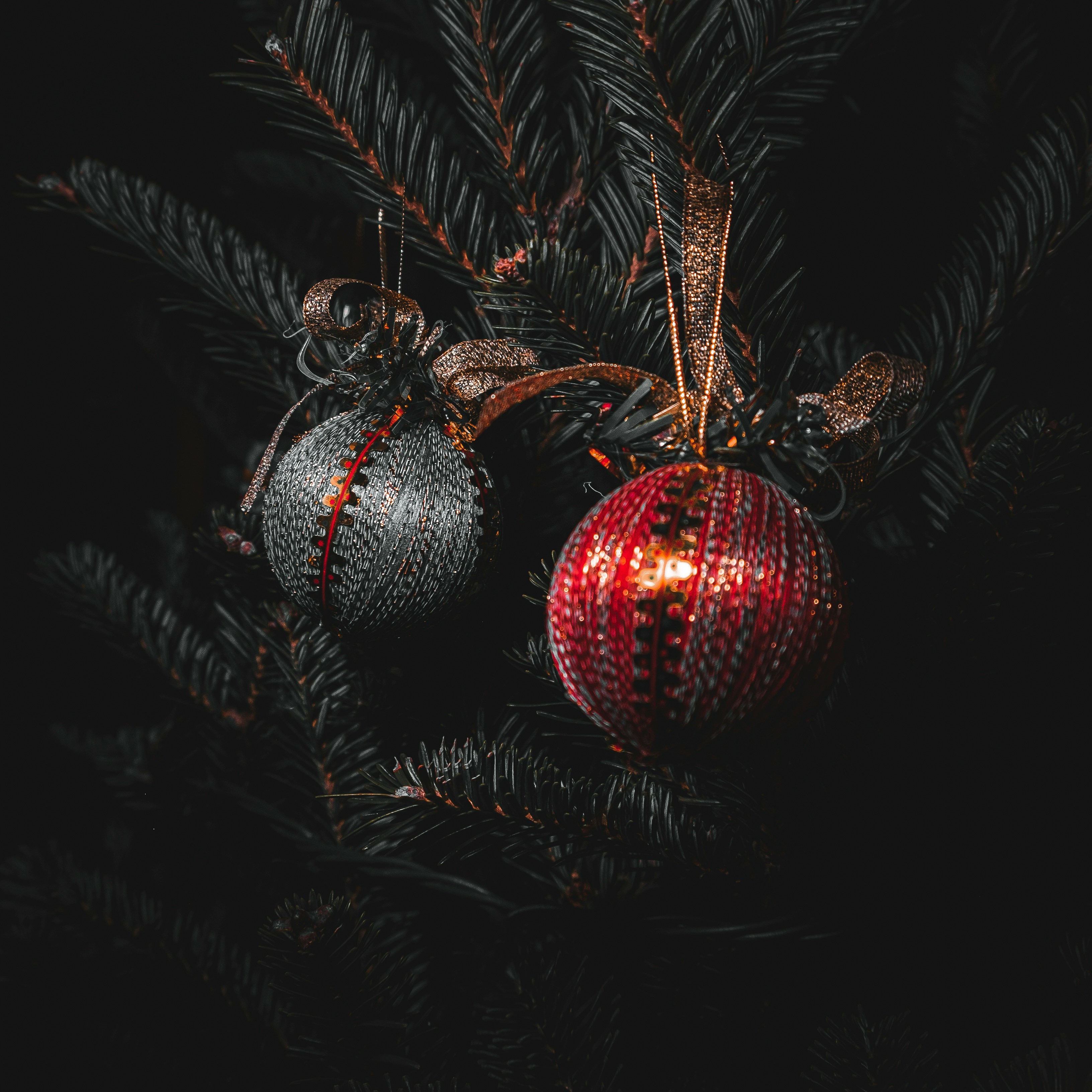 Ornaments hanging on tree